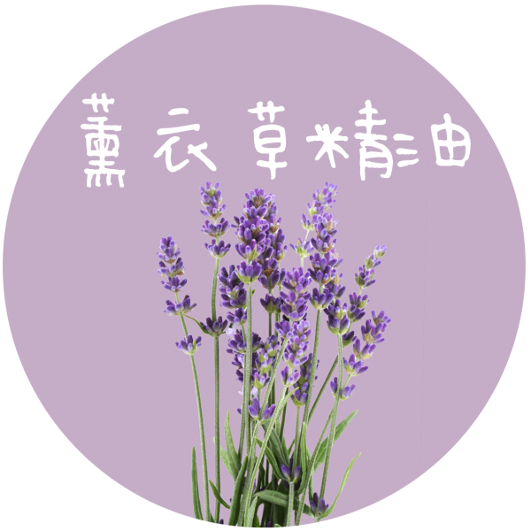 薰衣草精油 Lavender