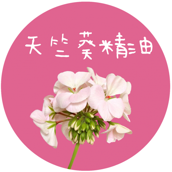 天竺葵精油 Geranium