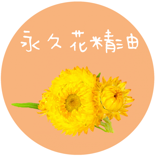 永久花精油 Helichrysum