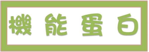 ➤機能蛋白